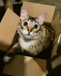 Imagem do WhatsApp de 2025-09-18 à(s) 11.17.22_23d5883b